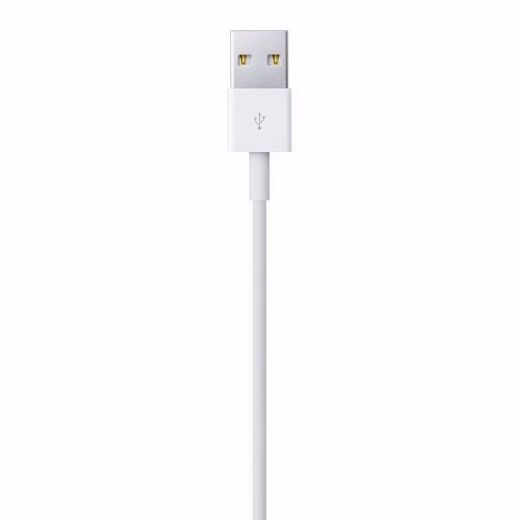 Picture of Apple USB to Lightning Cable 2M - White