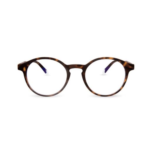 Picture of Barner Le Marais Screen Glasses - Tortoise