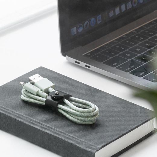 Picture of Native Union Belt Cable USB-A to Lightning 1.2M - Sage