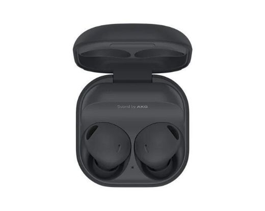 Picture of Samsung Galaxy Buds 2 Pro - Graphite