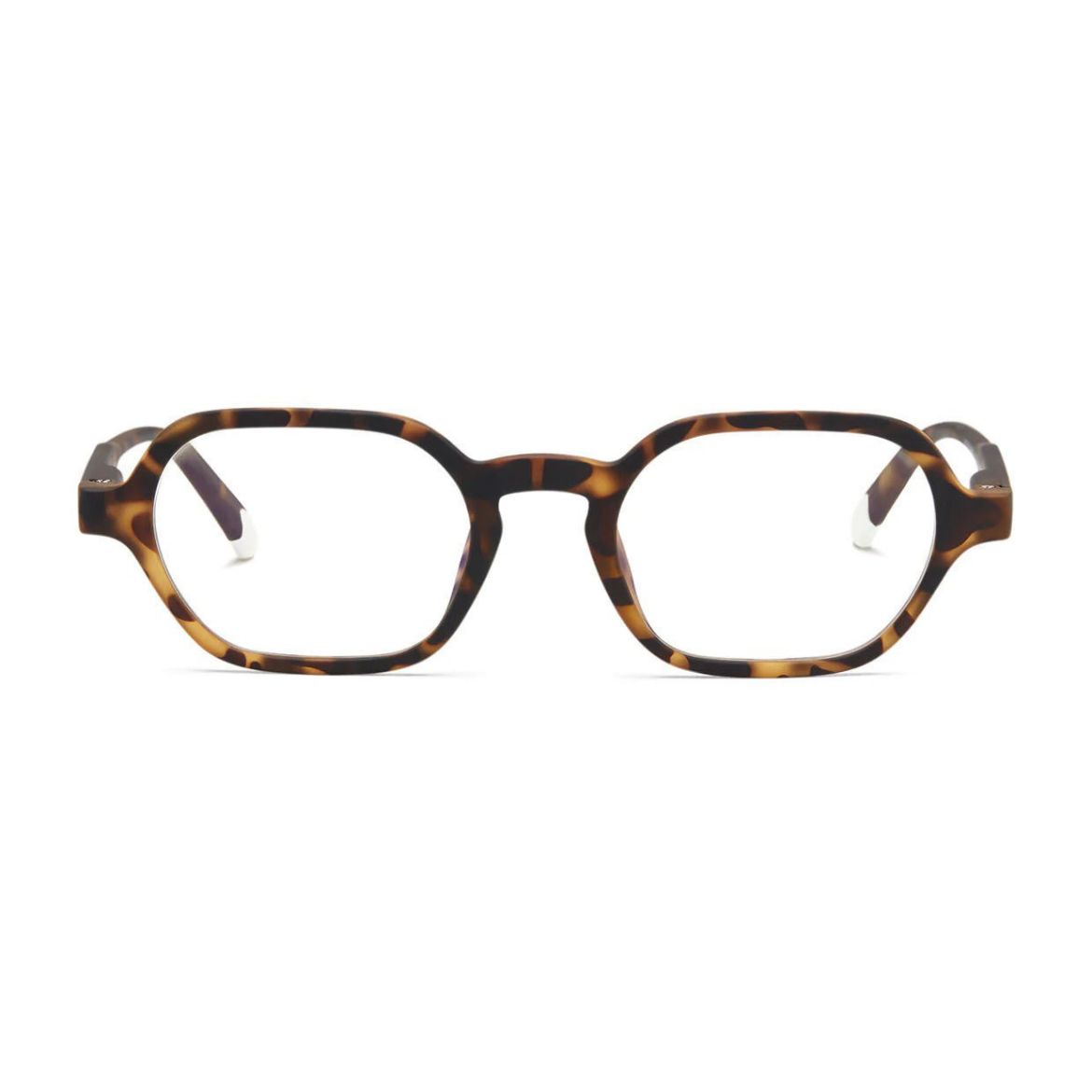 Picture of Barner Sodermalm Screen Glasses - Tortoise