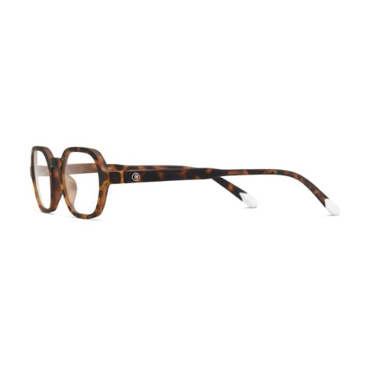 Picture of Barner Sodermalm Screen Glasses - Tortoise