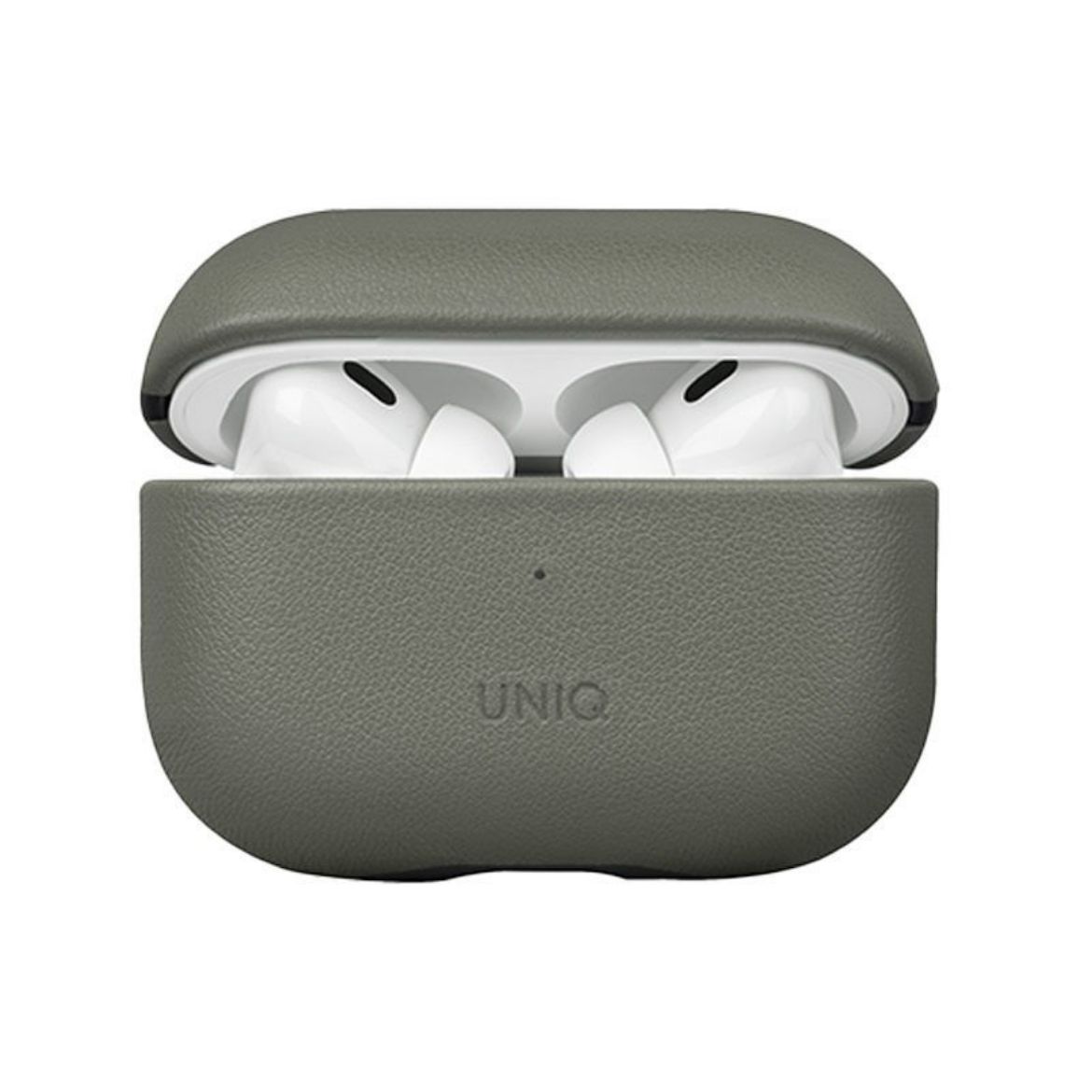 Picture of Uniq Terra Genuine Leather Case for Airpods Pro 2nd Gen - Lichen Green