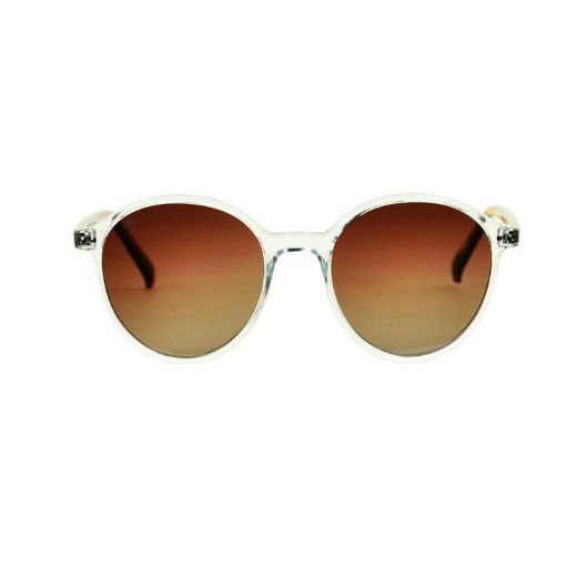 Picture of looklight Ashton Type Unisex Sunglass 51mm - Crystal Amber